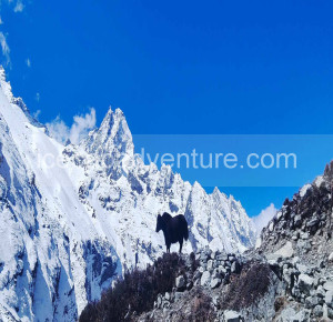 Ramdung Peak Climbing