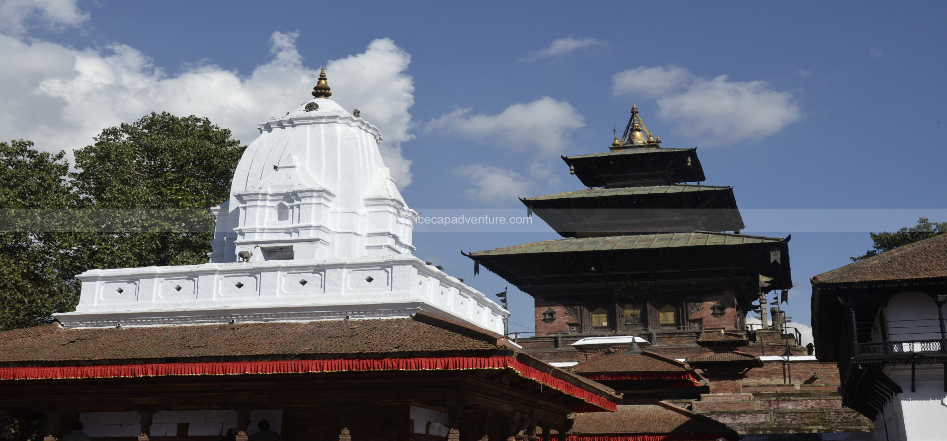 Kathmandu - Chitwan - Pokhara Tour